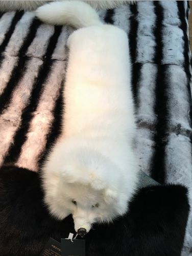 R5673BZ Domestic Medium White Fox Pillow