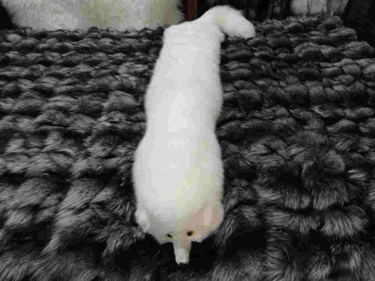 R5672BZ Domestic Large White Fox Pillow