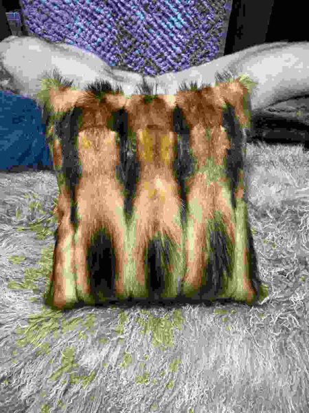 R5645BZ Steppe Polecat Whole Skin Natural Throw Pillow